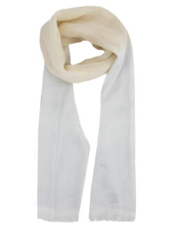 Peserico S31416C0 09734 Shawls Zilver